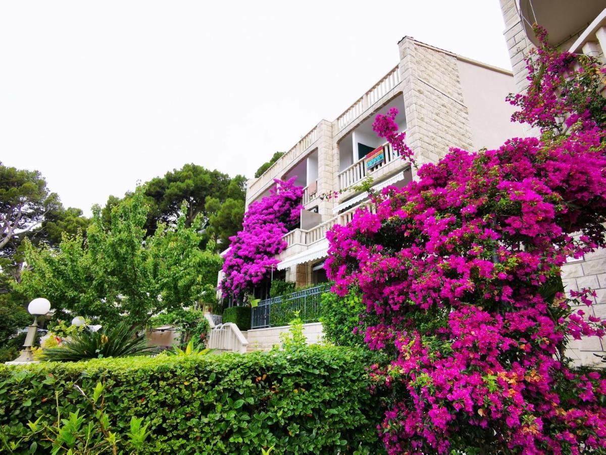 Apartment Bose- Luka Sodan *