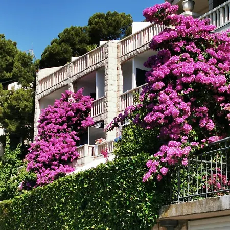 Villa Bose- Apartmani Luka Sodan Brela Exterior photo