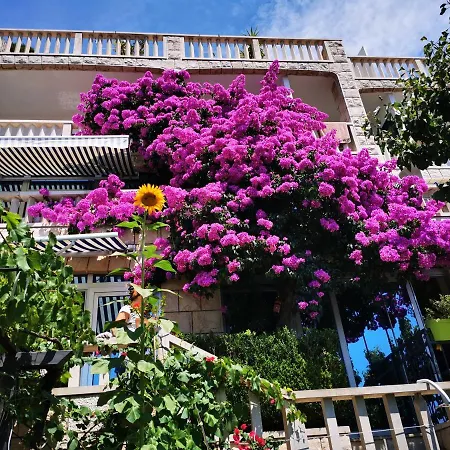 Villa Bose- Apartmani Luka Sodan Brela Exterior photo