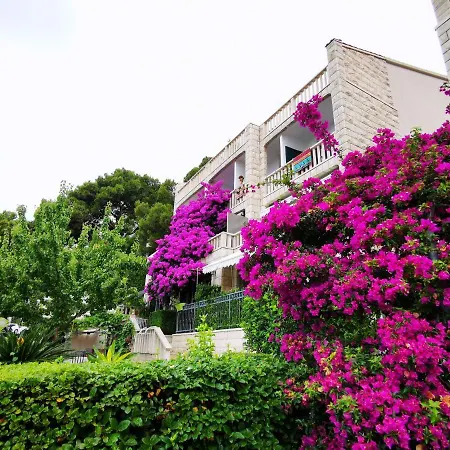 Villa Bose- Apartmani Luka Sodan Brela Exterior photo