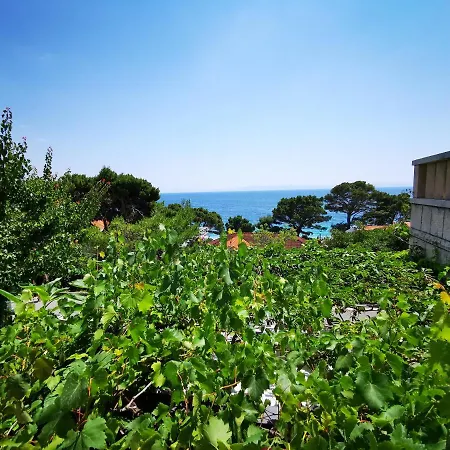 Villa Bose- Apartmani Luka Sodan Brela Exterior photo