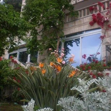 Villa Bose- Apartmani Luka Sodan Brela Exterior photo