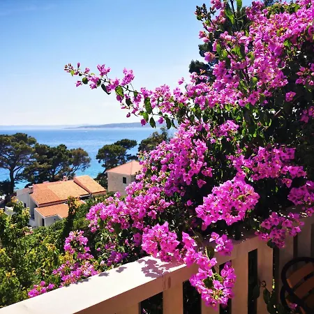 Villa Bose- Apartmani Luka Sodan Brela Exterior photo