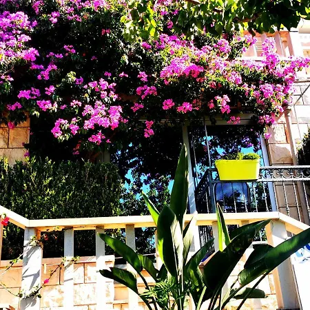 Villa Bose- Apartmani Luka Sodan Brela Exterior photo
