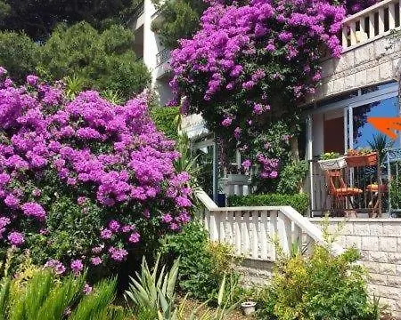 Villa Bose- Apartmani Luka Sodan Brela Exterior photo