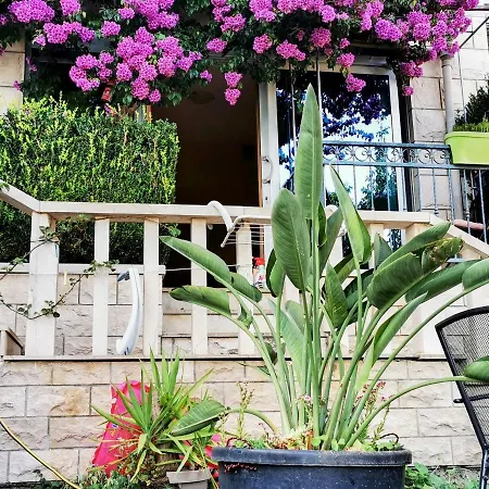 Villa Bose- Apartmani Luka Sodan Brela Exterior photo