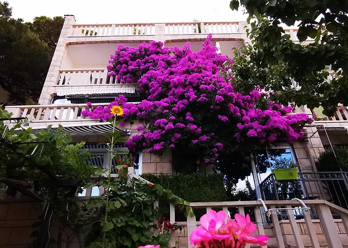 Villa Bose- Apartmani Luka Sodan