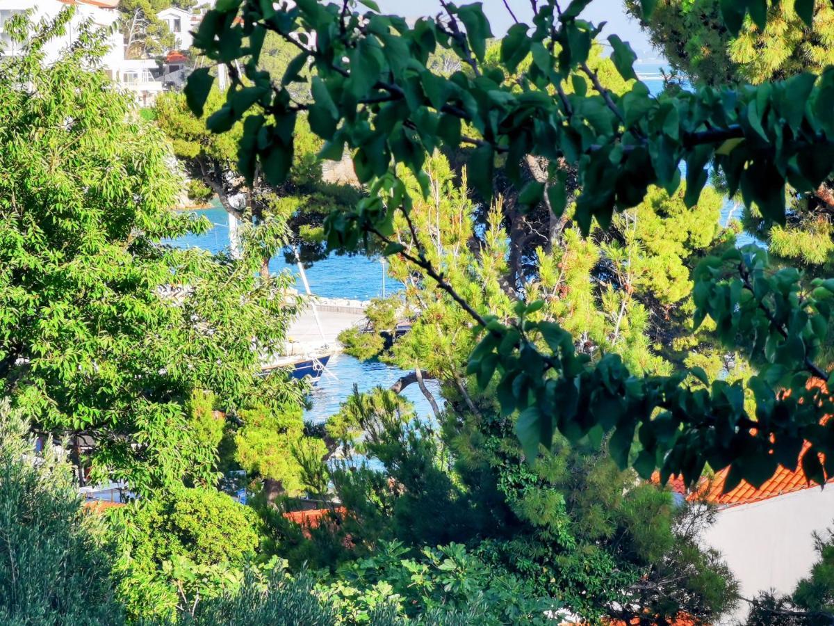 Apartment Bose- Luka Sodan