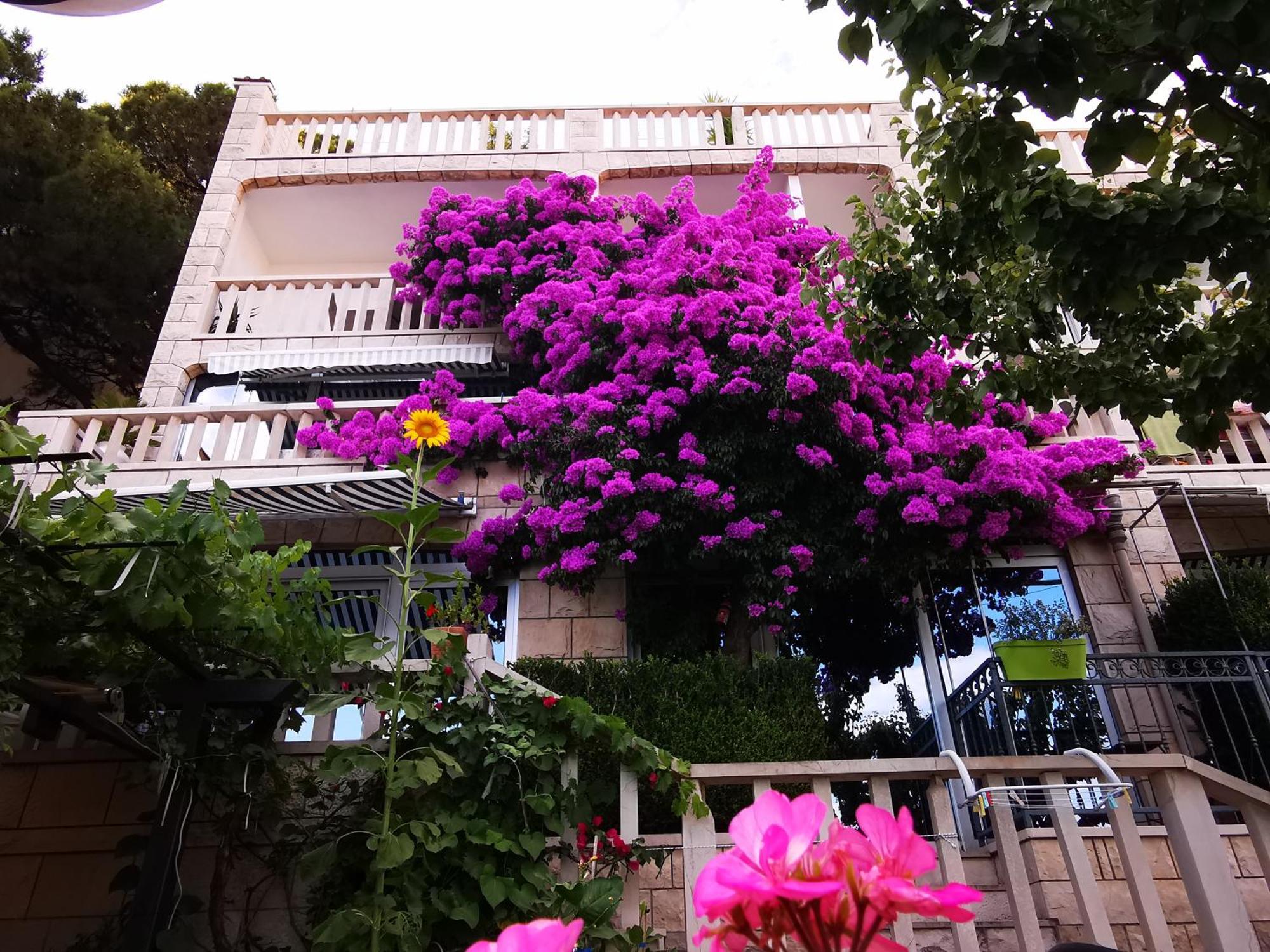 Bose- Luka Sodan Apartment